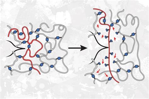  Hexamethylendiamine: De geheime sleutel tot supersterke polymeernetwerken!