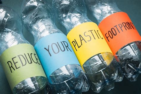  Bio-Based Plastics: Een Revolutie Voor de Toekomst van Duurzame Materialen!